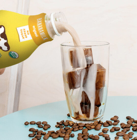 Iced Coffee Cubes and Bananamilk – Mooala Brands