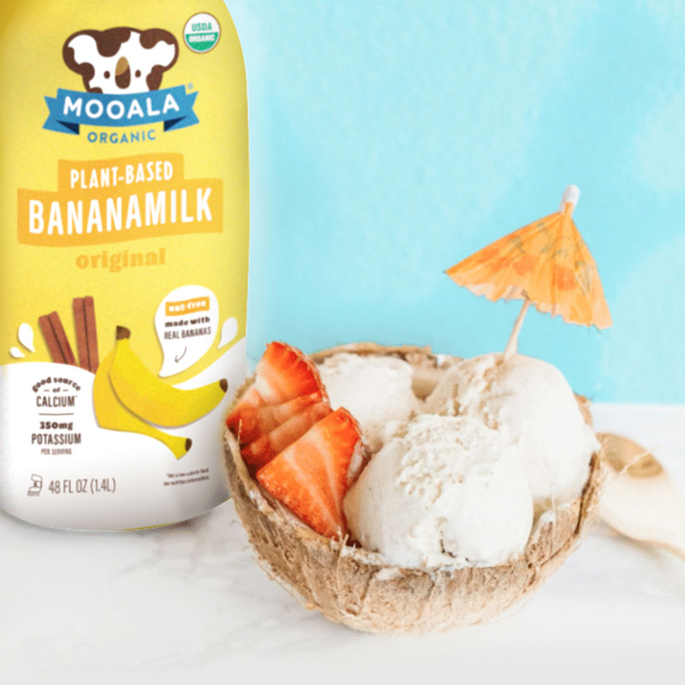 Image of Banana Coco Vegan Ice Cream Recipe